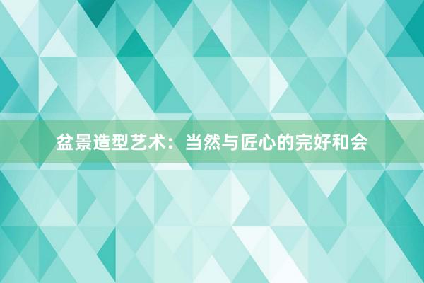盆景造型艺术：当然与匠心的完好和会